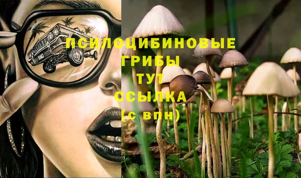 мескалин Каменка