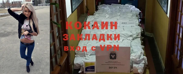 шишки Каменногорск