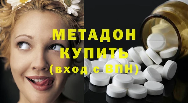 шишки Каменногорск