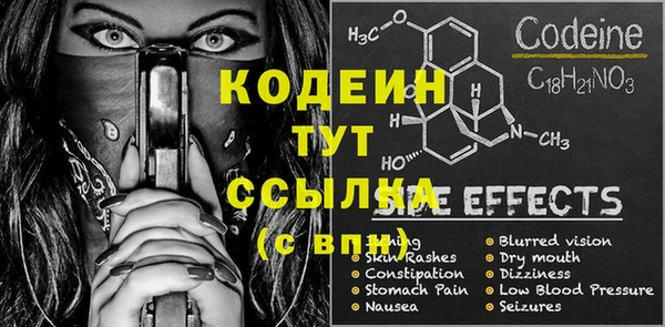 шишки Каменногорск