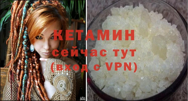 шишки Каменногорск