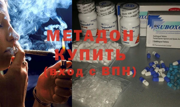 шишки Каменногорск