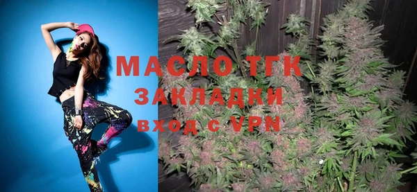 шишки Каменногорск