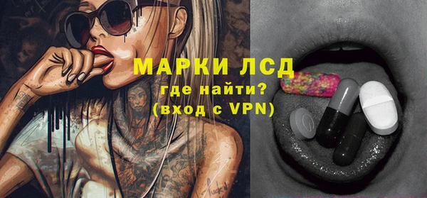 шишки Каменногорск