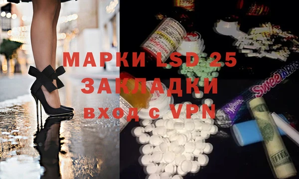 шишки Каменногорск